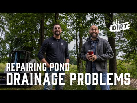 Fixing drainage and compaction issues around a pond?