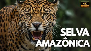 AMAZÔNIA SELVAGEM: Os Segredos da Maior Selva do Mundo | Documentário Completo