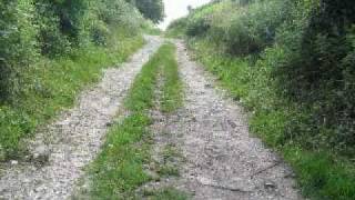 Purple Spaceships (Stackridge music)