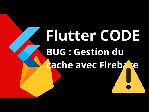 BUG Flutter Firestore Comment résoudre l erreur errno 111