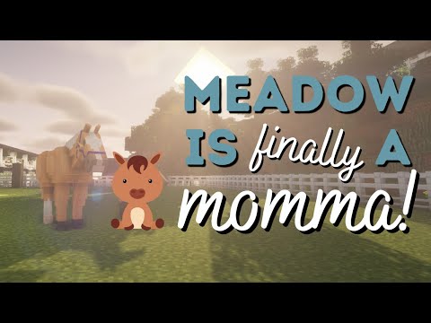 and not just Meadow, another mare is too! Minecraft SWEM RRP