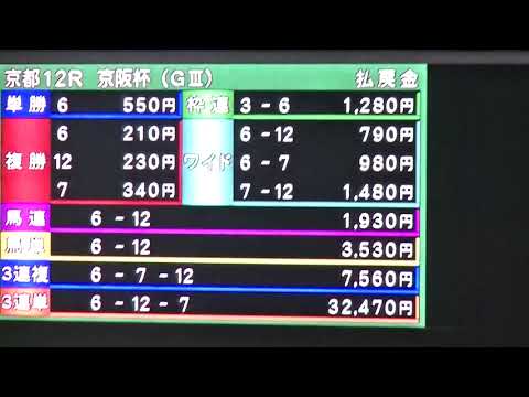 The Japan Cup Day 真の狙い【京阪杯】大勝利で二日連続のヴィクトリーコール競馬上級たろう先生😄😉東京競馬場　2019.11.24