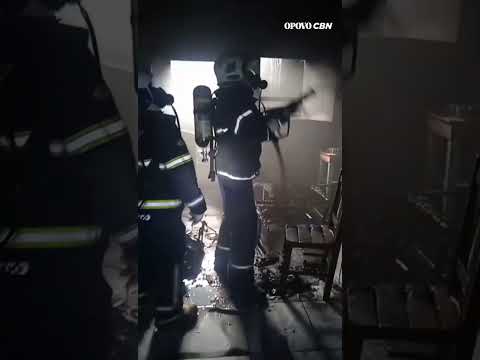 Incêndio em casa de protetora de animais deixa cão morto em Sobral, no Ceará | O POVO CBN
