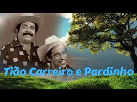 Seleção de Ouro - Tião Carreiro e Pardinho (2)