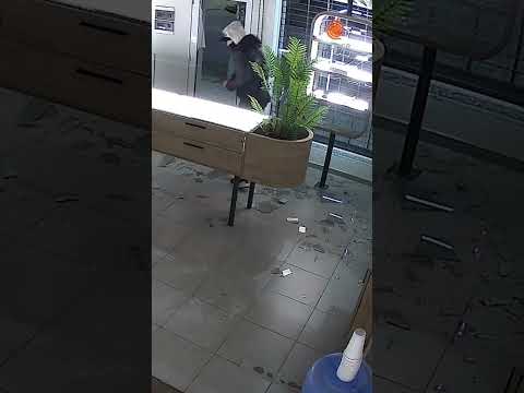Ladrones estallaron la puerta y robaron un local de celulares en Córdoba