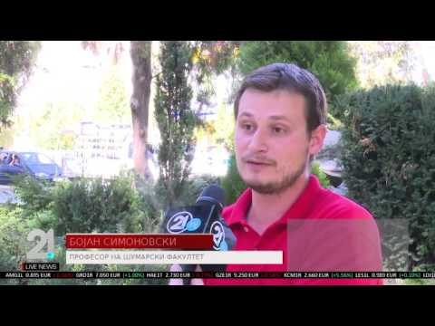 TV21 Live News MK 16.11.2015