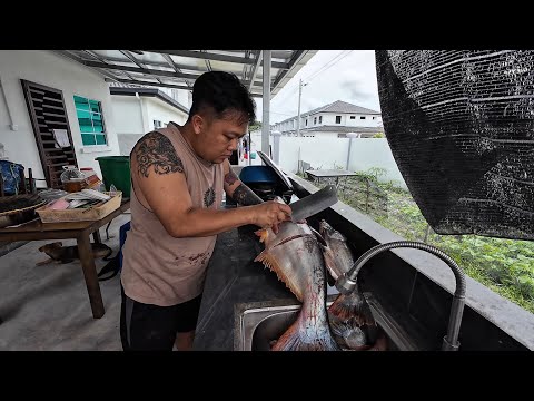 CARA POTONG DAN PROSES IKAN PATIN SUNGAI BIAR MASAK TIDAK BERBAU // 