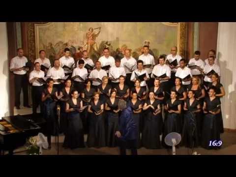 Akademski Hor "LOLA"- Barbara Ann