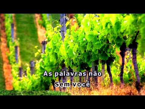 Videokê - Astronauta - Suricato e Melim - 16733