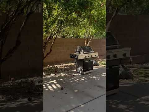 SPEICAL: RENT BY OCT 15 1/2 OFF YOUR 2ND MONTH!!! Absolutely beautiful 4 bedroom, 2 bathroom with 2 car garage in Dove Valley Ranch available for move in NOW!!  Backyard is a peaceful Oasis with Faux grass for easy care!!!  Close to TSMC!!! property video