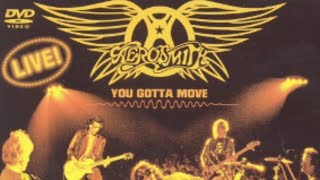 Aerosmith - You Gotta Move 2004