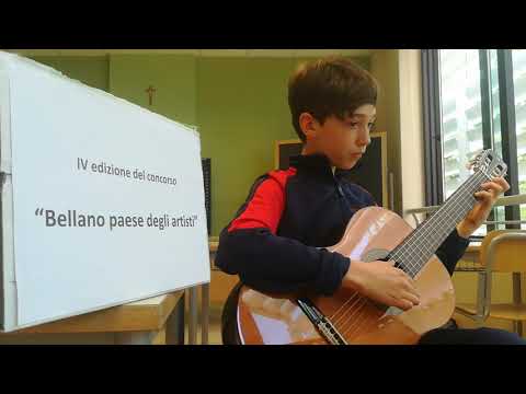 1 BERTONE Luca (classe 1 smim, concorso Bellano, Paese degli Artisti 2021)