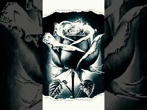 Lucie - Proč ta růže uvadá