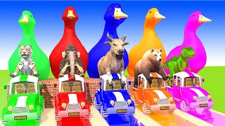 5 Giant Duck, Monkey, Piglet, chicken, dog, dinosaur, cow, Sheep, Transfiguration funny animal 2024