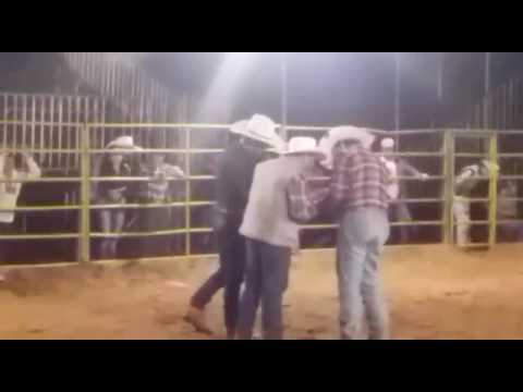 Marcelo dia no rodeio