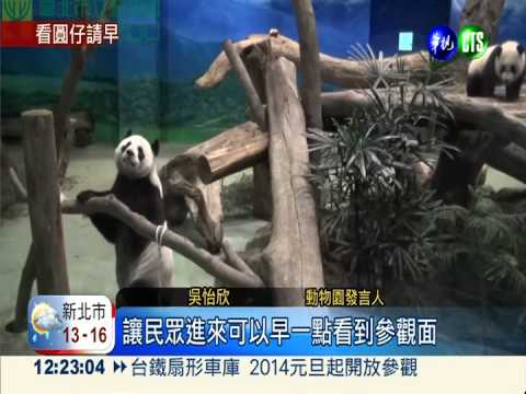 圓仔陪你過年! 1/6正式亮相