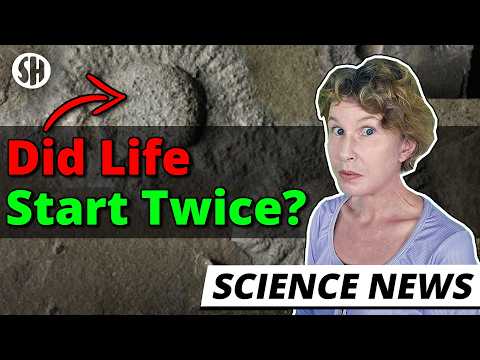 This Discovery Might Change What We Know About Life!