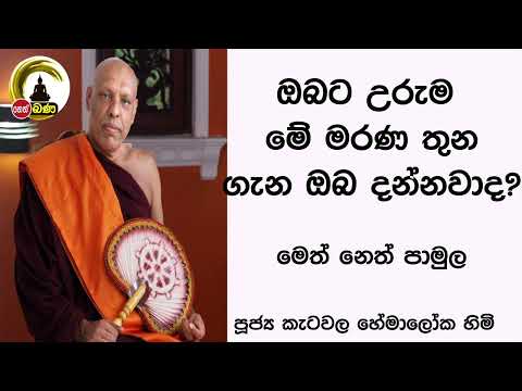 2022/02/13  Katawala Hemaloka Thero - මෙත් නෙත් පාමුල