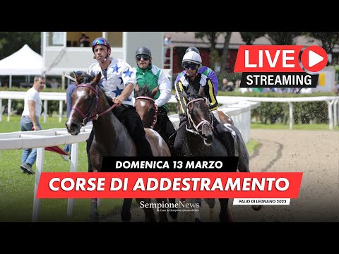 Live Streaming | Corse di Addestramento