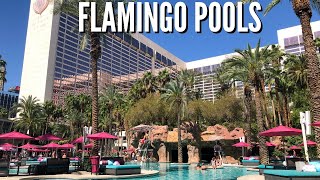 FLAMINGO LAS VEGAS POOL 👙 | Flamingo Pool Go Pool Dayclub & Beach Club Best Pools in Las Vegas 2021