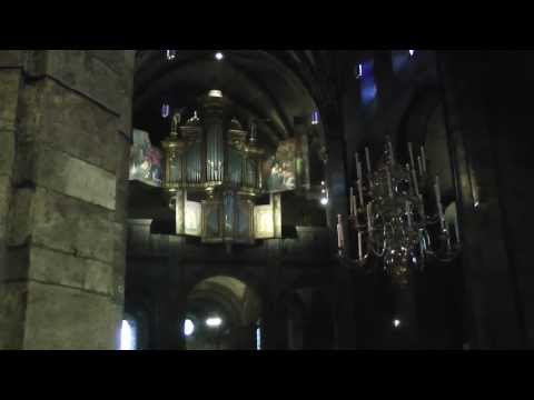 Halleluja G.f Handel, Arnoud de Groen op het orgel van de O.L.V kerk te  Maastricht