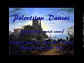 Polovtsian Dances (symphonic metal cover) 