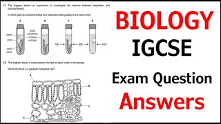 Biology PAST PAPER EXAM QUESTIONS Unit 4 Revision / A* Grade - KS4 Science / IGCSE Biology