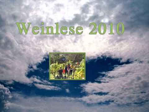 weinlese 2016