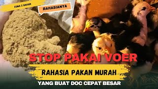 Download lagu JUST A MIX OF 2 INGREDIENTS ‼️CHEAP FEED THAT MAKES DOC GROW QUICKLY ‼️ mp3