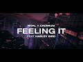 Rival X Cadmium Feeling It Ft Harley Bird Official Lyric Video