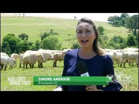 Programa Agro forte, Brasil forte - 1º Concurso de Carcaças Carne Charolês Certificada - TerraViva