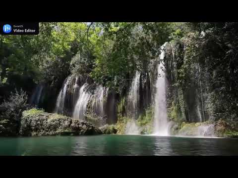 MÚSICA CALMANTE AO SOM DE FLAUTA E GAITA DE FOLE