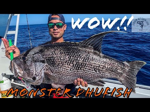 LETS DHU IT WITH THE DHUFISH MASTER + DIVING FOR CRAYFISH  | Fishing Western Australia | EP66