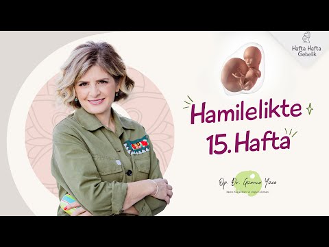 Gebelikte 15. Hafta | Op. Dr. Günnur Yüce | Hafta Hafta Gebelik