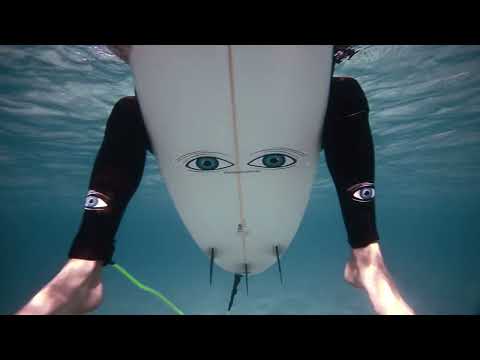 Shark Eyes, Shark Deterrents explained (Short version)