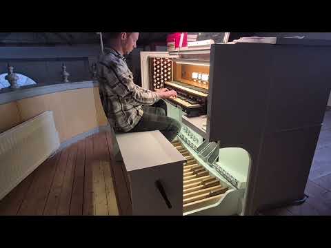 Misanthrop - Blod besvimelse organ cover by novice