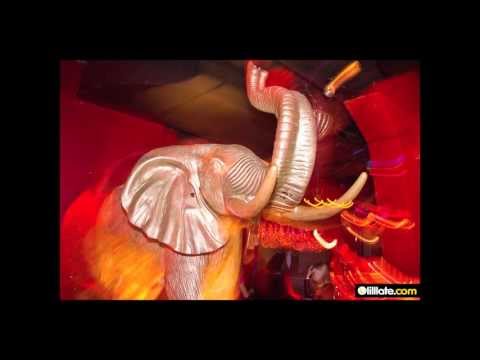 Elephant Club St. Gallen presents - Glam N Sexy II