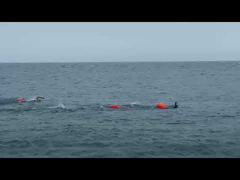 Swimming in Greystones south beach with Ger Devin, John Ryan and Grace Hodgins in 2022
