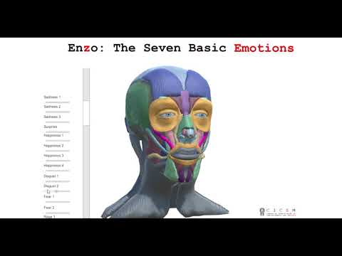 ENZO: The seven basic emotions (DEMO)
