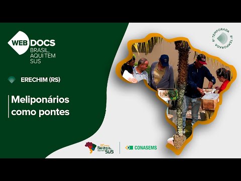 Webdoc Brasil, aqui tem SUS - 8ª Temporada - Erechim