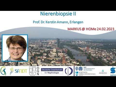 Nierenbiopsie II - Prof. Kerstin Amann (Erlangen)
