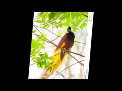 Bella - 4Blordz ft. Eldiz [Audio]