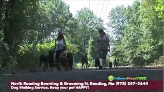 preview picture of video 'North Reading, Ma Boarding & Grooming, Dog Walking service'