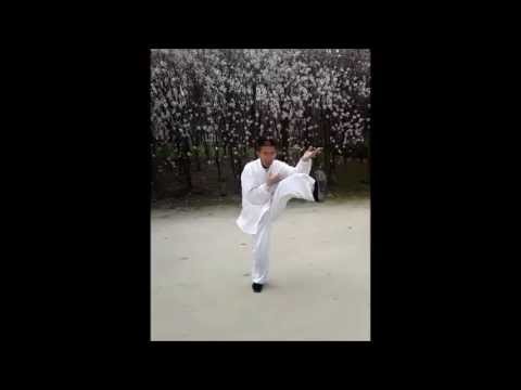 #taichi #taichiquan  #taijiquan Chen style Xu Zaiguang Master - Forma 18