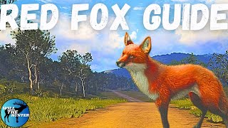Emerald Coast Red Fox Guide! TheHunter Call Of The Wild 2023
