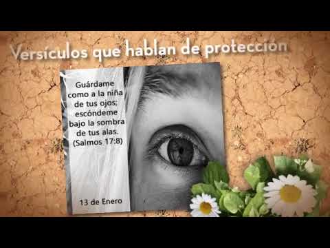 Versículo del día con imágenes Video