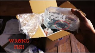 They Mistakenly Sent Me Monster Fish...Live Fish Unboxing