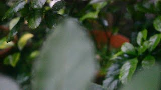 Low Roar - Friends Make Garbage, Good Friends Take It Out (Video Clip)