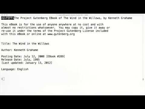 Full Screen Interactive Programs less