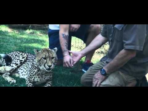 Leave The World Behind 2014 ( FULL MOVIE )